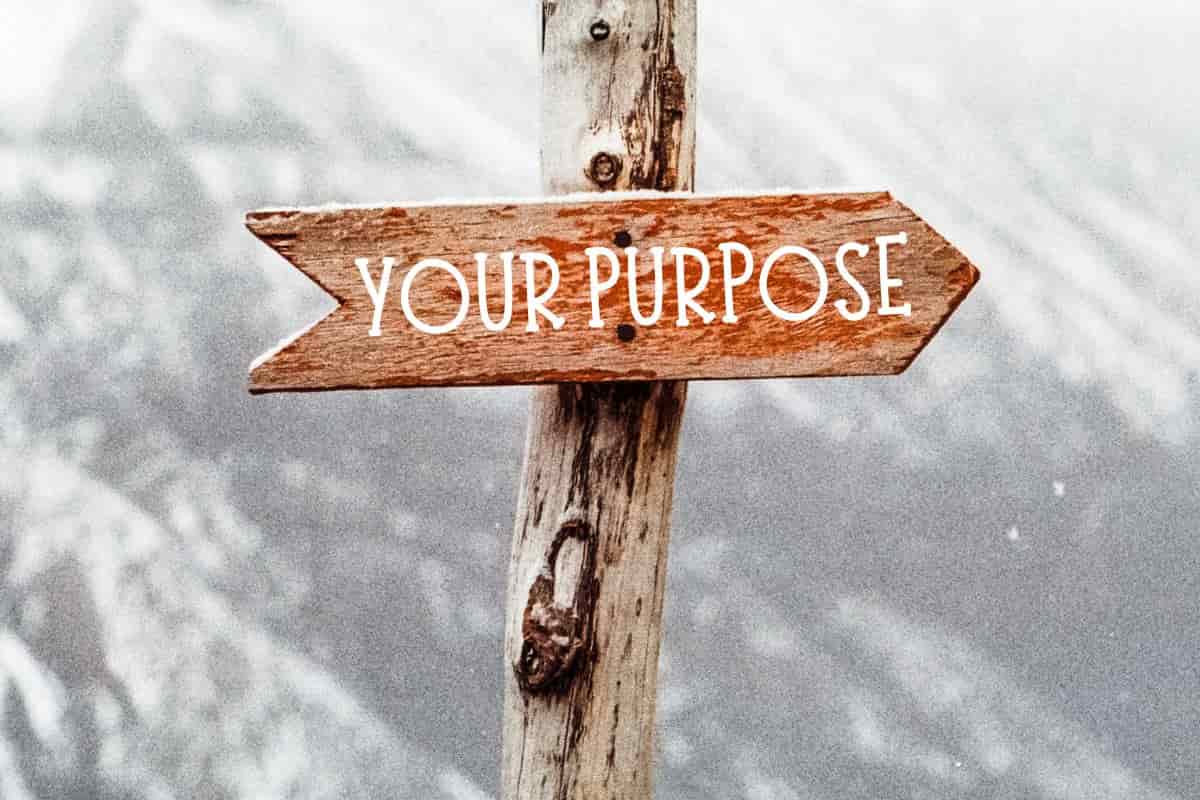 Finding Your Divine Purpose and Gifts in Recovery