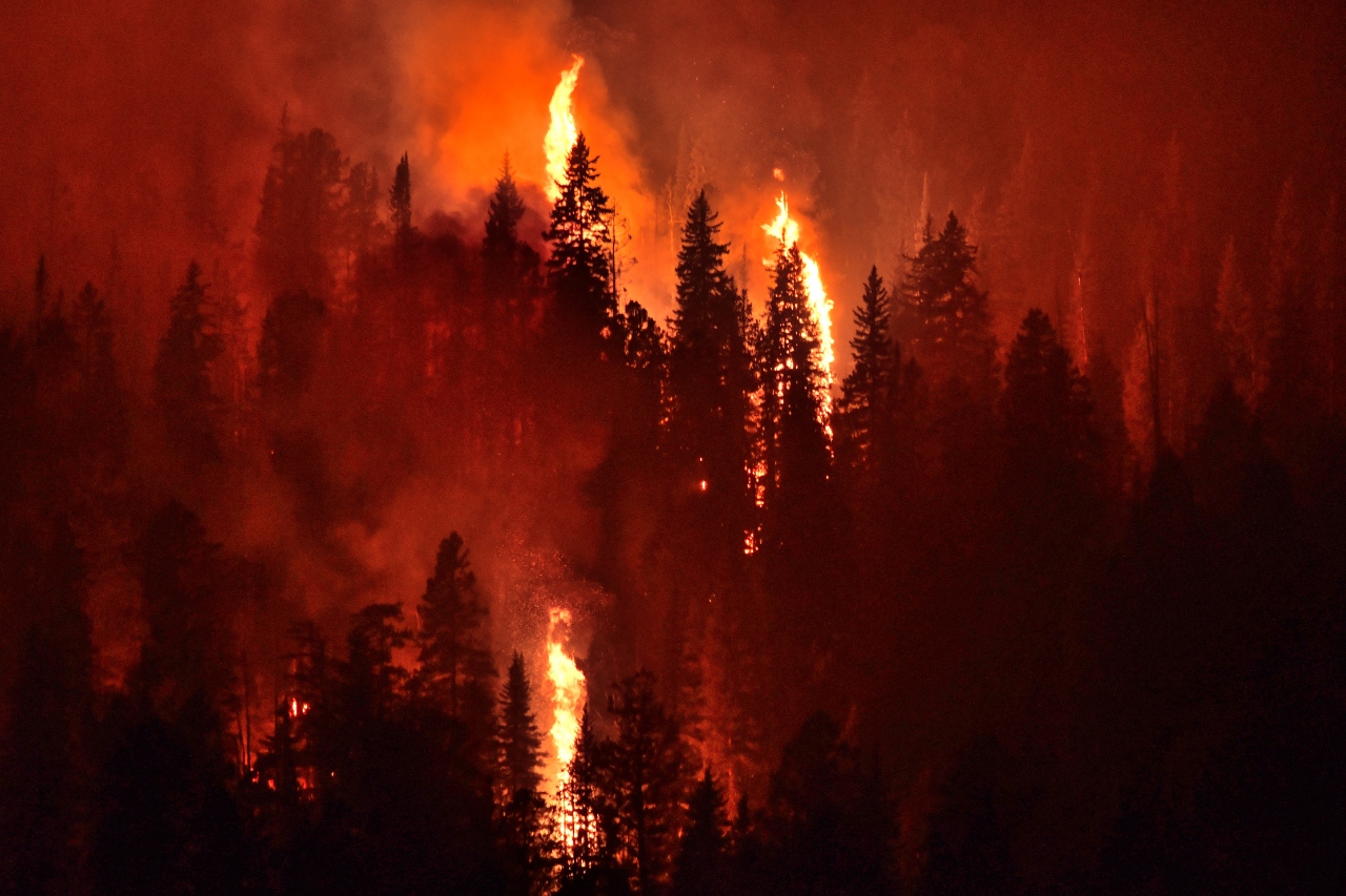  “Fire Never Says Enough”